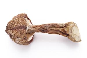 明朗会計で安心して楽しめるホストクラブ